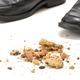 Image for article titled Science says go ahead and eat the food you dropped on the floor, maybe